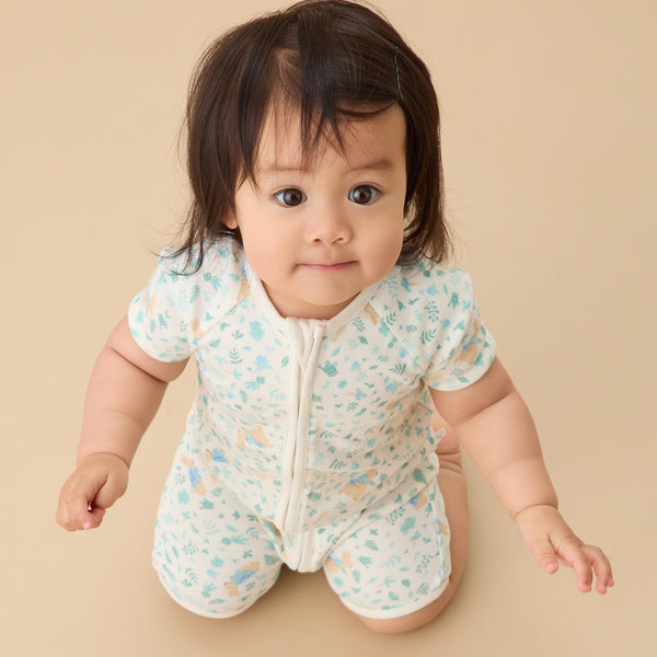 babymytreasure ページ Peter Rabbit Summer Zip-Up Sleepsuit | Baby Sleepsuits | MORI