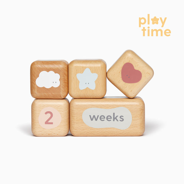 Wooden Baby Milestone Blocks