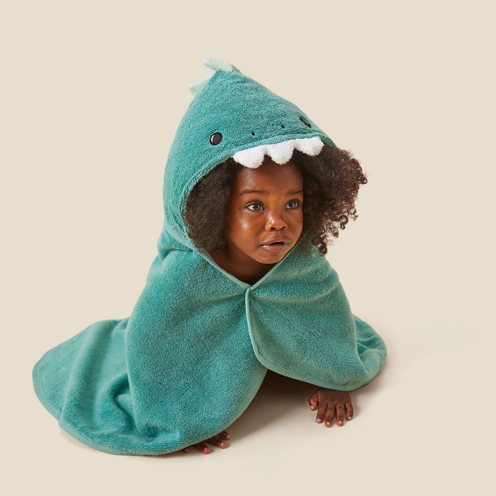 Gruffalo hooded hot sale towel