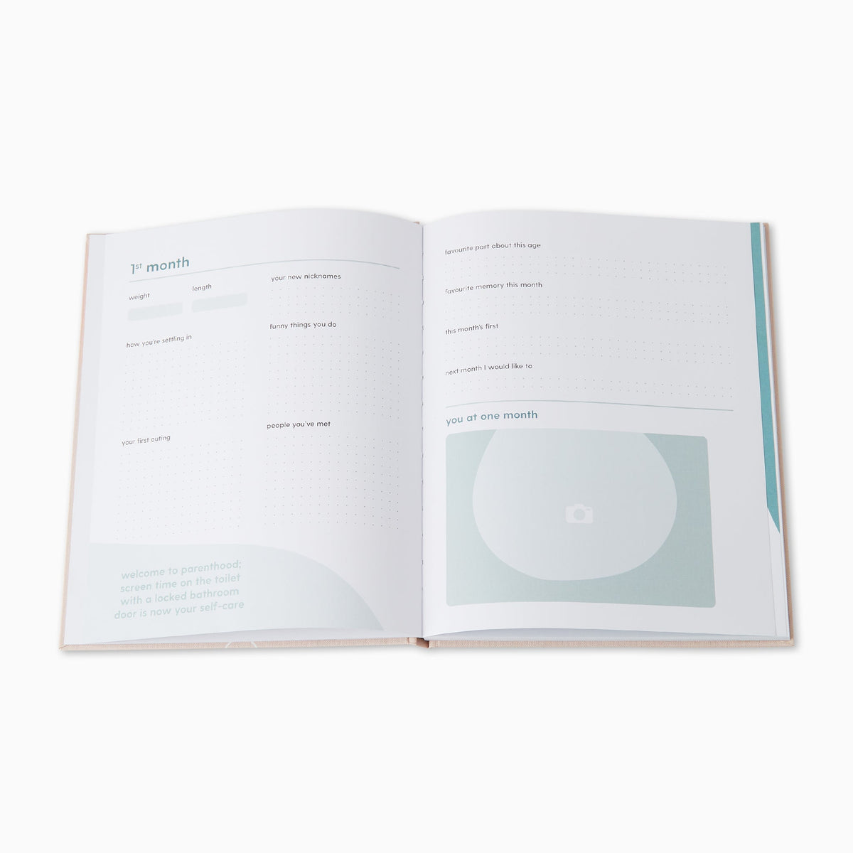 Hello Baby Book - Blush