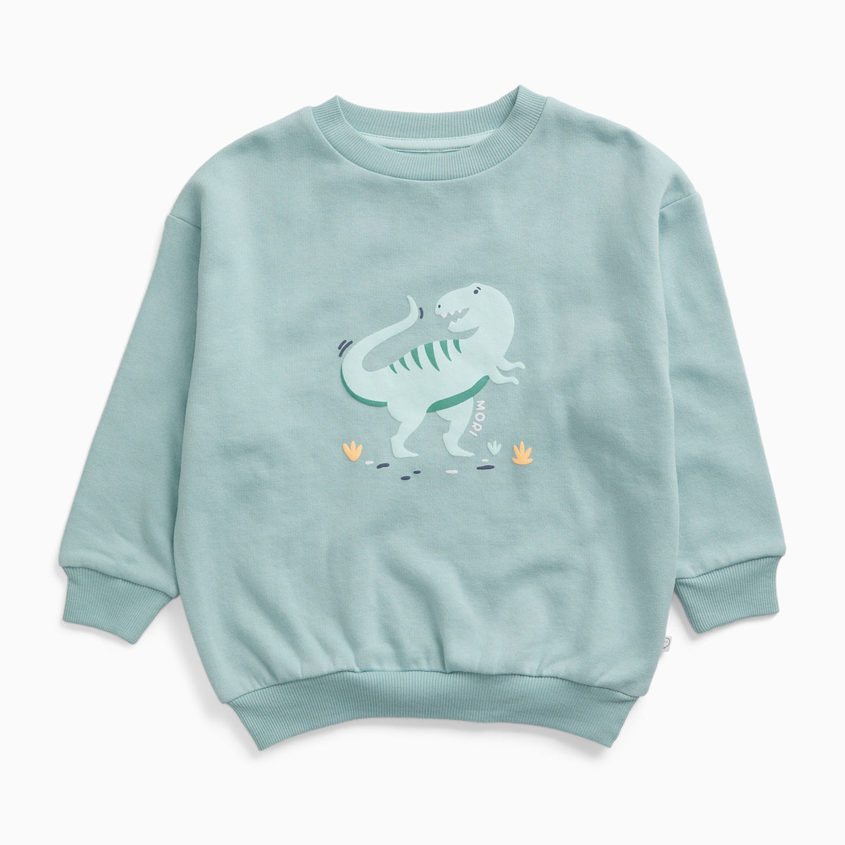 Tyrannosaurus Rex Dinosaur Oversized Sweatshirt