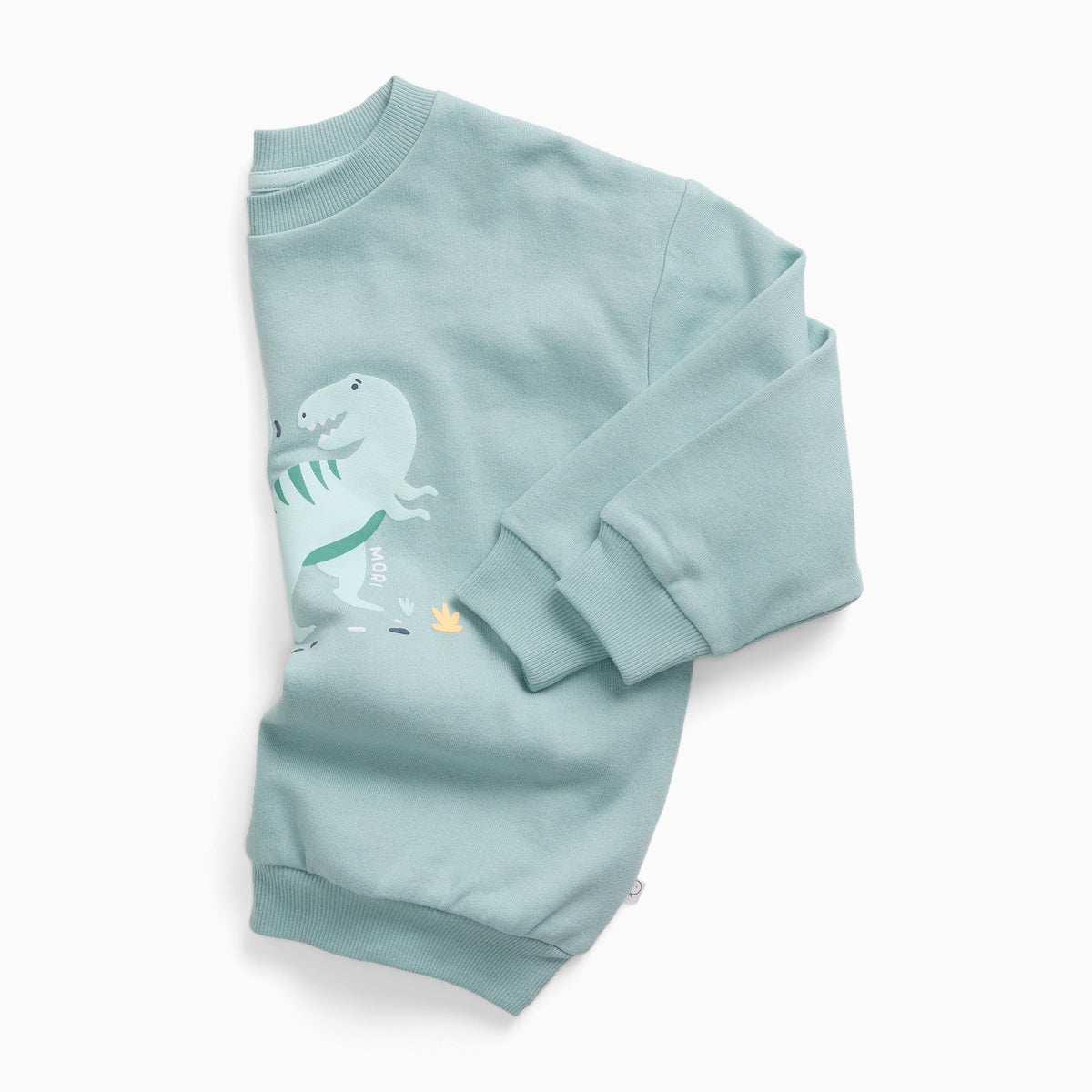Tyrannosaurus Rex Dinosaur Oversized Sweatshirt