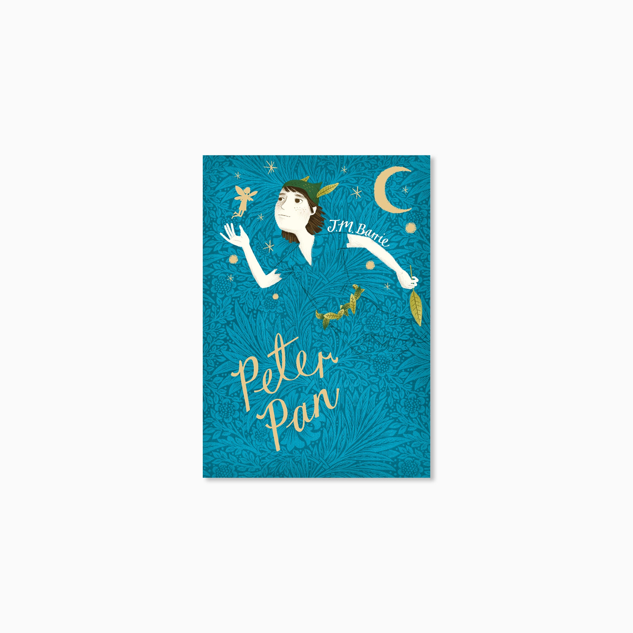 V&A Classic Books Peter Pan